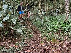 Hermanastra Fucked Hard in Forest, Cum Splashed on Her Big Tits. Colombian Latina Moans in Rough Outdoor Sex.