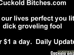 Turning you into my cuckold bitch