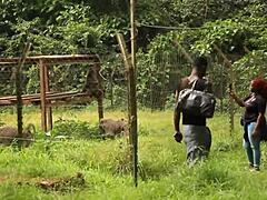 Strange tourist park encounter with huge cock filling mouth and tight ass