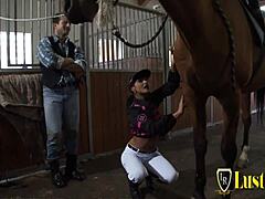 stable boy couldn’t resist the sexy brunette babe