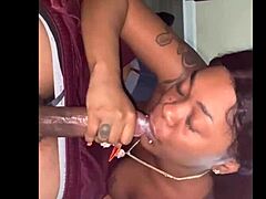 Old Favorite Sloppy Toppy Video Returns
