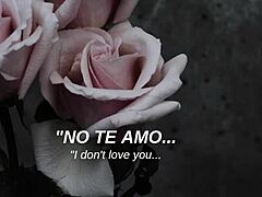 mcr song i don't love you with spanish subtitles