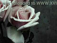mcr song i don't love you with spanish subtitles