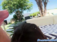 Roundass Milf's Bigtits Slammed Anally