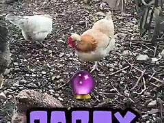chicken feeding station with cool tattoo designs