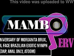 20th anniversary bash with Morganita Brux. Brazilian exotic nymph takes monster cocks in DAP anal and ATOGM!