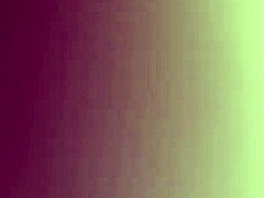 Hairy skank swaps between anal and pussy pounding action.