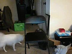 Slutty teen ex rides big cock with a nasty twist