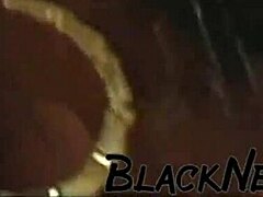 Ebony Amateurs Dive Into Wet FFM Threesome With Big Black Cock. Rough Anal and Deepthroat Action Unfolds.