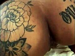 Stupid Latina Hoe Screwed While Cuck Records Everything