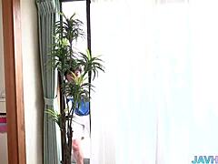 Japanese Boobs Collection for Every Desire