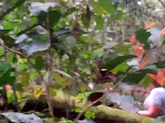 this guy paid to see my big pussy in the ecological park so i hid in the bushes and flashed it for him.