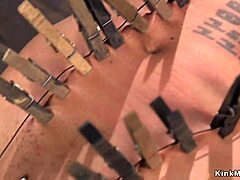 ebony slut endures caning while suspended in tight bondage