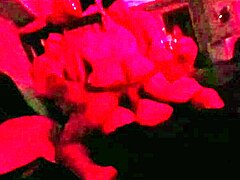 Safada Hints at Wild Orgy with Four Friends under Red Light and Funk Music
