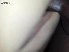 Milf Takes That Massive Black Cock Deep In Doggystyle Action!