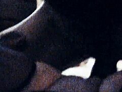 Raw POV Action as Stranger Uses My Tight Hole in Reality Setup