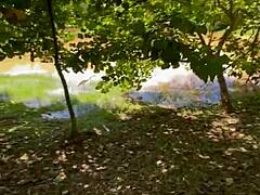 A walk in the park turned out really great for the couple.