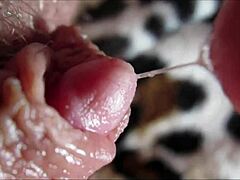 Big clit pulsing in intense orgasm captured in high definition close-up detail.