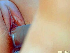 close-up video shows perfect puffy pink pussy with buttplug