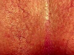 Colombiana Sabrinafoxy shares her daily need for anal action and cum in a casual homemade setup