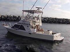 Super Shark Features a Brunette in a Sexy Bikini on a Boat Adventure.