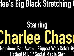 Top Heavy Milf Charlee Chase Stretches Her Mature Muff with Huge Dildo in Lingerie