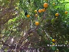 omg busty latina takes that huge cock deep in her ass right in the backyard 😈