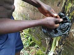 Intriguing Encounter With Plantain In Lush Garden