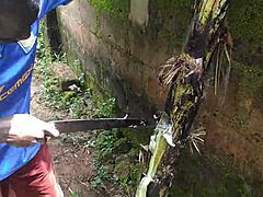 Intriguing Encounter With Plantain In Lush Garden