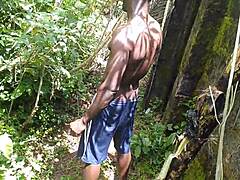 Intriguing Encounter With Plantain In Lush Garden