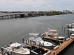 hey, check out abby paradise giving that steamy shower blowjob with cumshot 😏