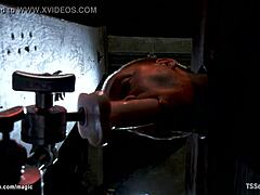 i uh meant to say shemale domme like totally anal fucks that bound guy hard with kinky domination