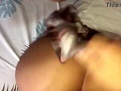 Heart Racing As 18-Year-Old Meets Perverted Teacher In Cheap Motel, Taking Monster Cock Deep For Passing Grade.