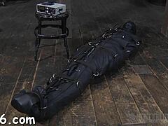 Hardcore Sadomasochism Porn Involves Intense Fucking Doggystyle With Bondage And Sloppy Domination In A Competitive Game