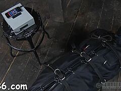 Hardcore Sadomasochism Porn Involves Intense Fucking Doggystyle With Bondage And Sloppy Domination In A Competitive Game