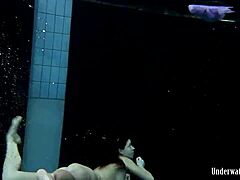 Blackhaired Aneta dives gracefully into the refreshing pool waters