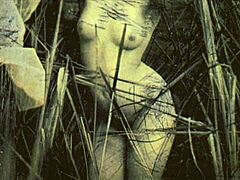 What if vintage erotica from two centuries ago revealed forgotten sensual secrets in retro style
