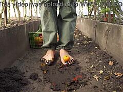 Squashing Tomatoes Barefoot in the Dirt for Relaxing ASMR Experience