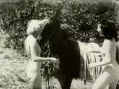 Dark Lantern Entertainment Unveils Retro Women with Animals