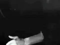 Vintage Granny Shares Erotic Confessions