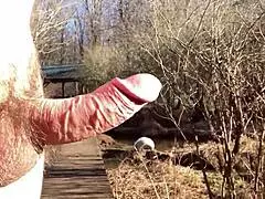 Boardwalk stroll on a sunny day