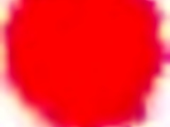 Poželjiva učiteljica z očali zapelje mlado češko rjavolasko za poredne lekcije.