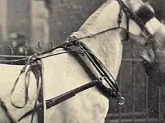 In Inghilterra vittoriana, un gentiluomo svela i peccati erotici delle nonne acquisite con confessioni intime.