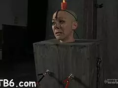 amateurs explore sadomasochism in a competitive setting