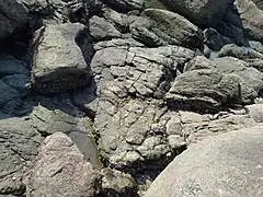 went to beach with friend and fucked him