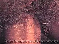 Dark Lantern vintage postkaarten met hete chicks