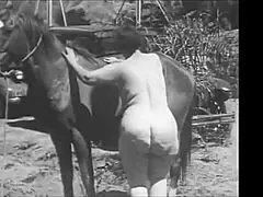 Dark Lantern Entertainment lüftet retro vintage Schätze