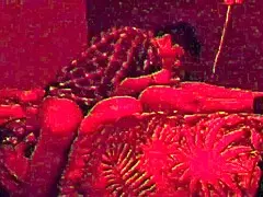 Fucking my straight married friend hard in part four