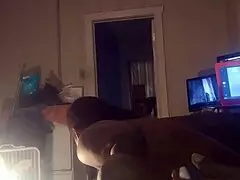 hey, check this homemade petite ebony milf fucking first