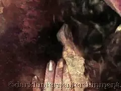 Dark Lantern Entertainment Presents Harriet From My Secret Life